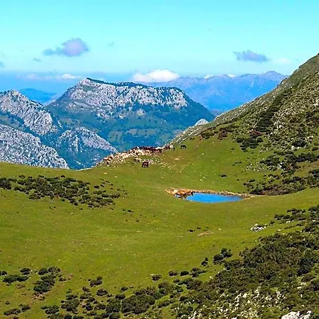 Vandrarhem Covadonga