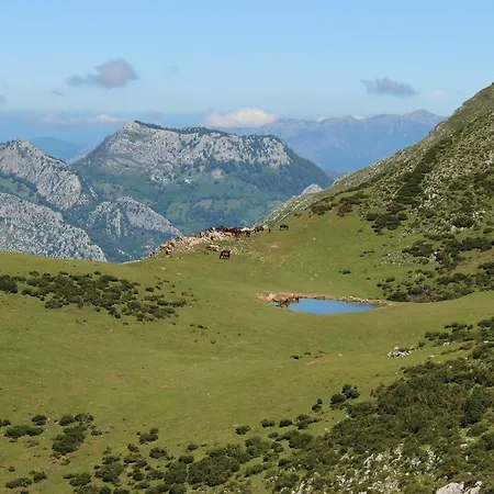 Hostel Covadonga *