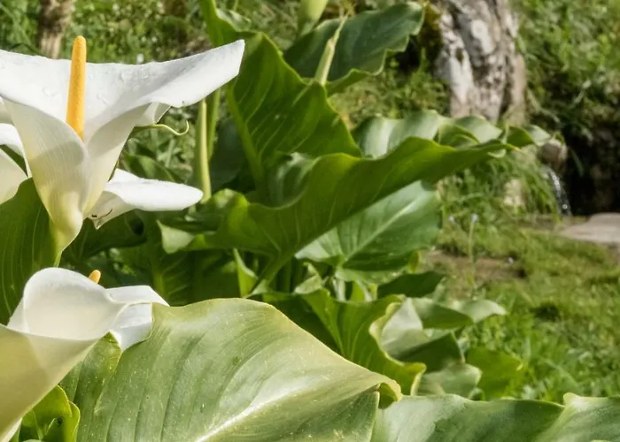 Covadonga Hostal La Riera (Cangas de Onis)